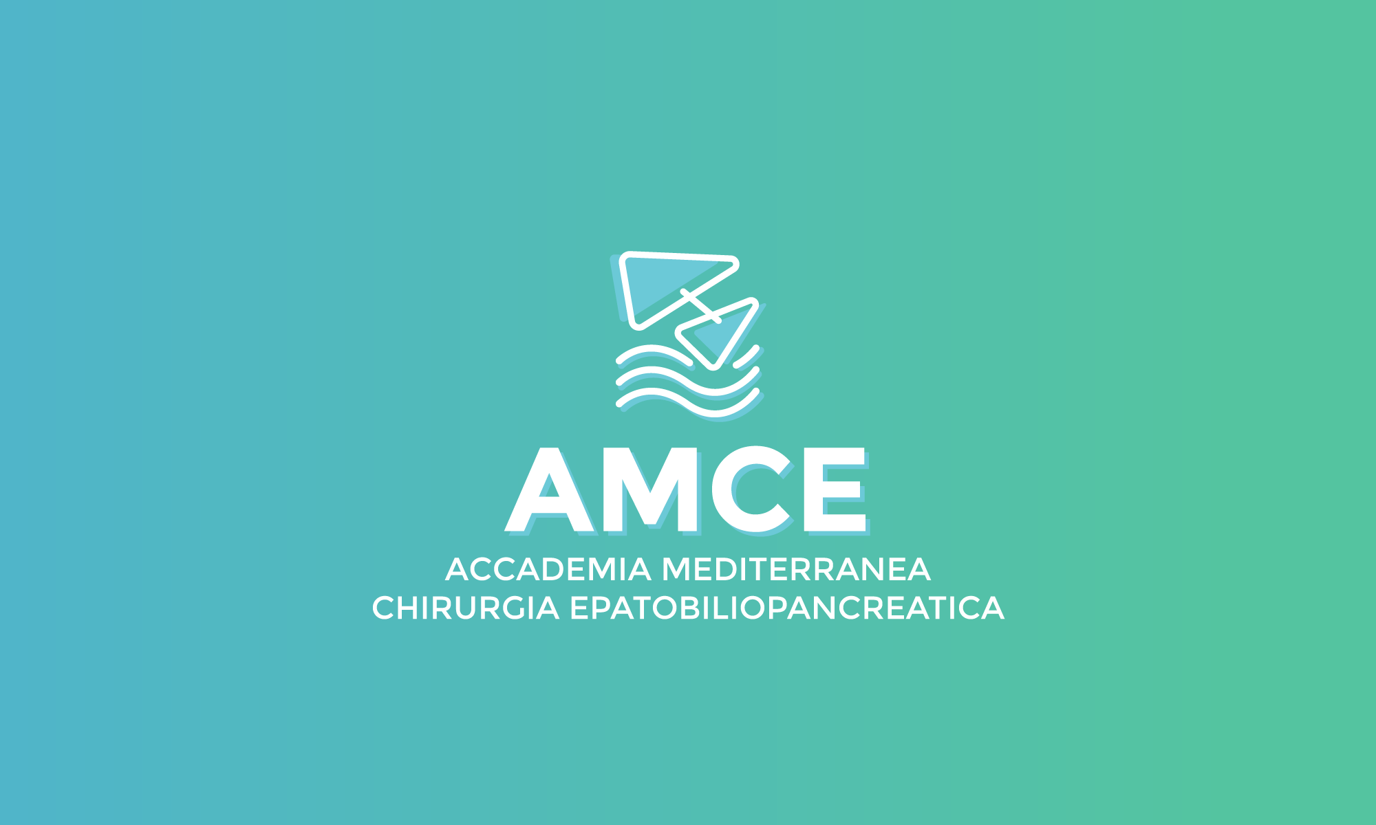 AMCE Project - Alta Formazione AIMS