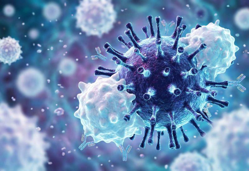 3D Illustration of Immune System Antibodies Attacking Virus Cells